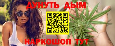 крисы Абакан