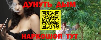 крисы Абакан