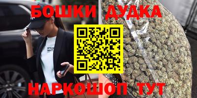 крисы Абакан