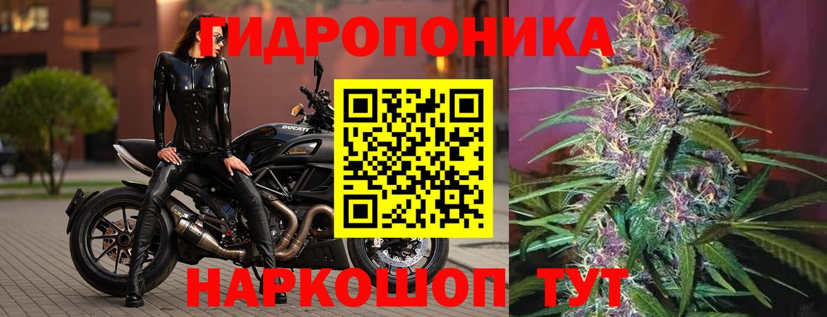 Шишки марихуана OG Kush Ангарск